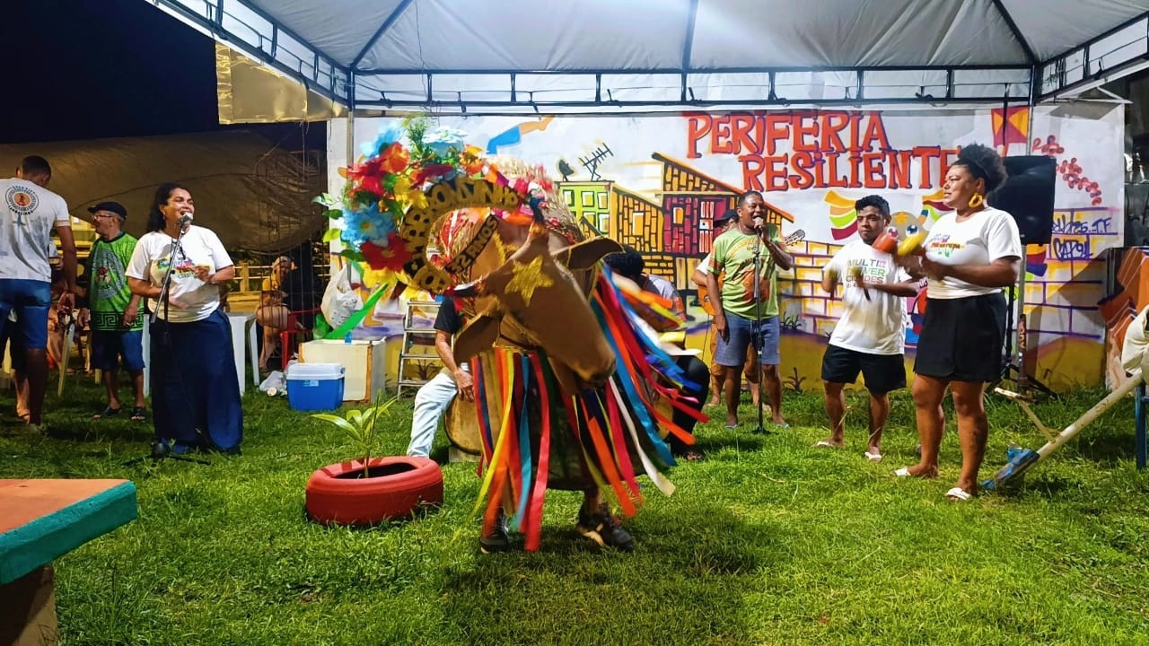 Boi Marronzinho durante cortejo na Terra Firme