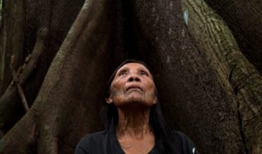 Foto: Alessandro Falco